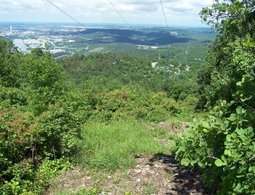 VISTA DALL’ERMADA